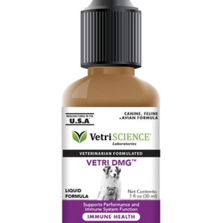 Vetriscience Vetri Dmg Imune Health