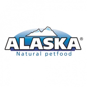 Alaska Dog