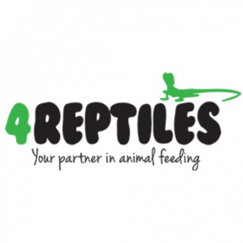 4Reptiles