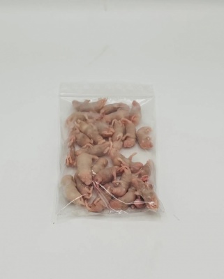 4Reptiles Peļu mazuļi XXL 3-4g/25gb