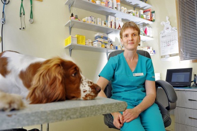 Veterinarian Ilze Petersone