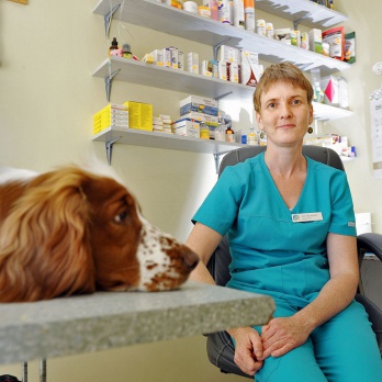 Veterinarian Ilze Petersone