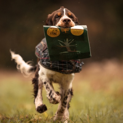ESSENTIAL Beef treats for dogs DELIGHTS