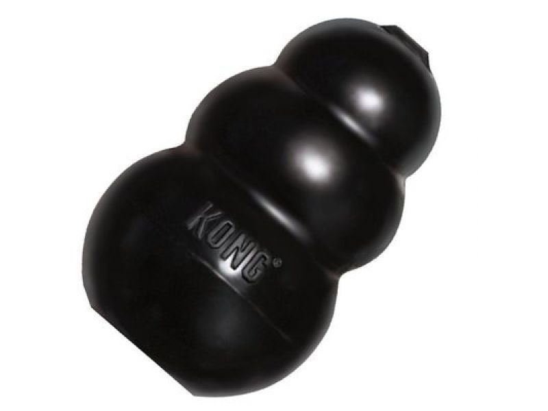 Xl outlet kong toy