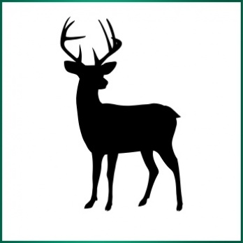Wild meat
