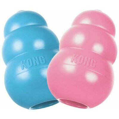 Kong toy for puppy L