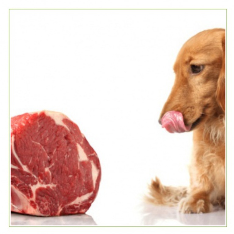 Best meat deals for puppies