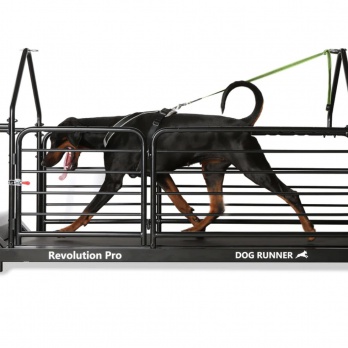 Dog Runner Treadmill