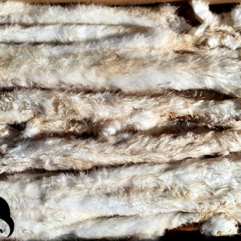 PetPlanet Rabbit skin with fur