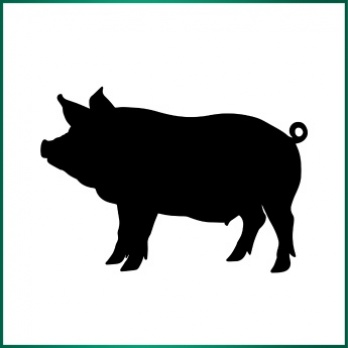 Pork