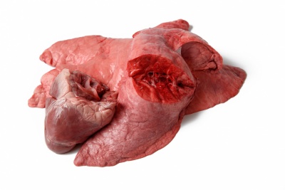 Z/S Kumelītes Pork lungs