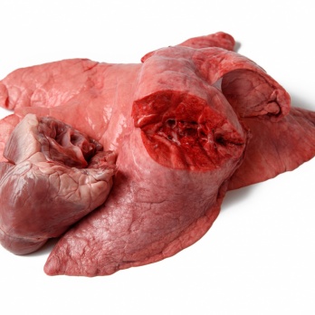 Z/S Kumelītes Pork lungs