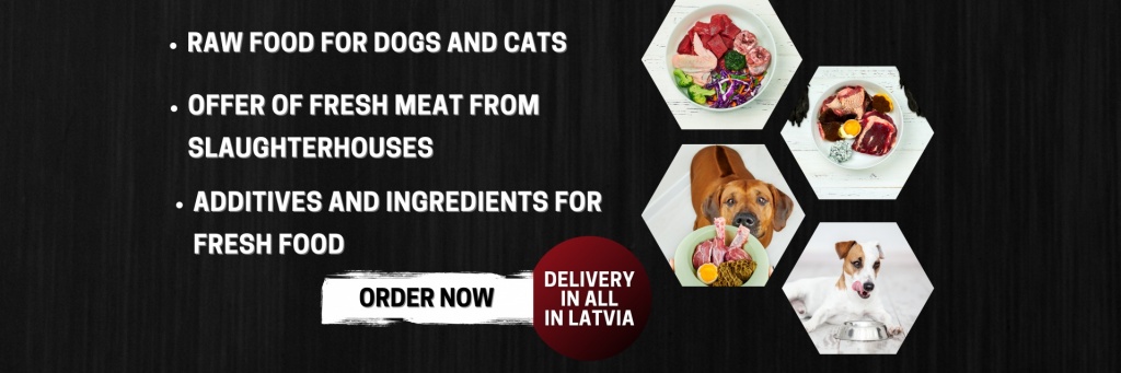 Alpha spirit dog treats clearance