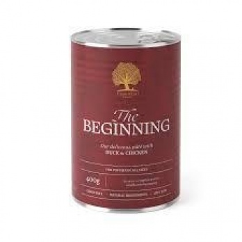 ESSENTIAL THE BEGINNING