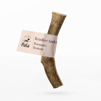 Pala natural deer antlers L
