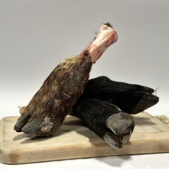 Free Spirit Paws Lamb legs with fur 2psc
