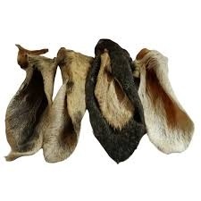 Dig dog Lamb ear with fur