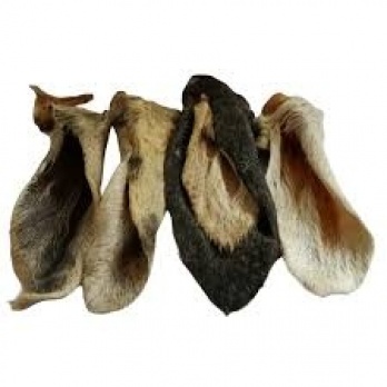 Dig dog Lamb ear with fur