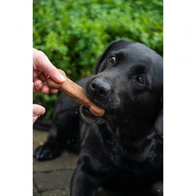 Bugbone cookies (bones)