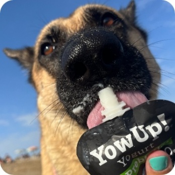 YowUp!