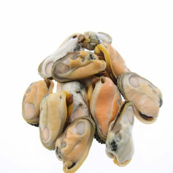 KB EXTRA - Mussel meat 100g