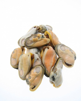 KB EXTRA - Mussel meat 100g