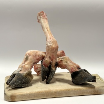 Free Spirit Lamb leg without fur 2 pcs