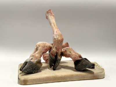 Free Spirit Lamb leg without fur 2 pcs
