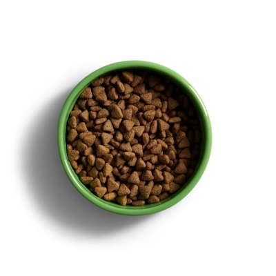 YORA for adult dogs 1.5kg