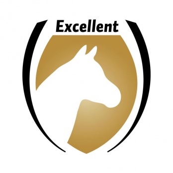 Excellent Pets
