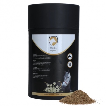 Excellent Herbs Aniseed 1kg