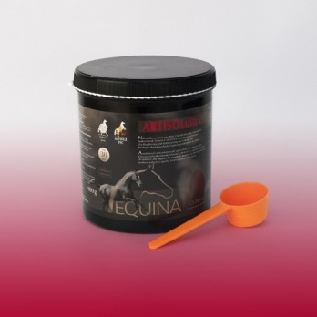 Equina Artisol 900g