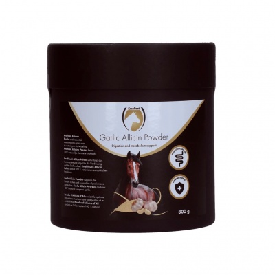 Excellent Horse Garlic Allicin Powder 800g