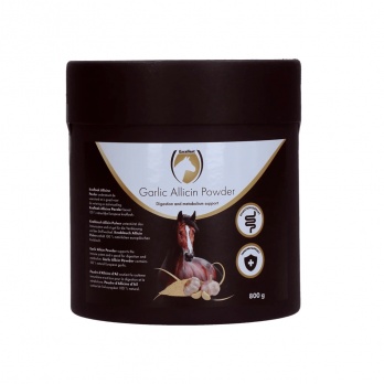 Excellent Horse Garlic Allicin Powder 800g