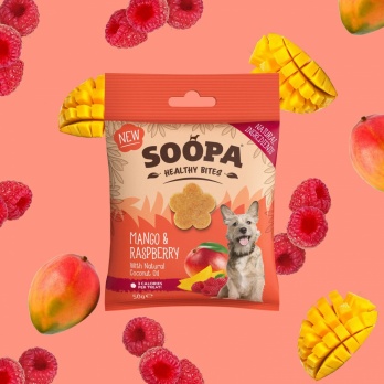 Soopa healthy bits mango & raspberry