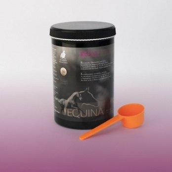 Equina Repax 600g