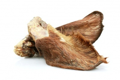 Liellopa ausis ar spalvu