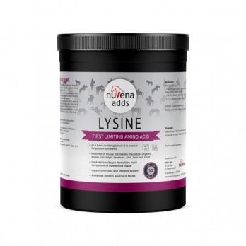 NuVena - Lysine 600g