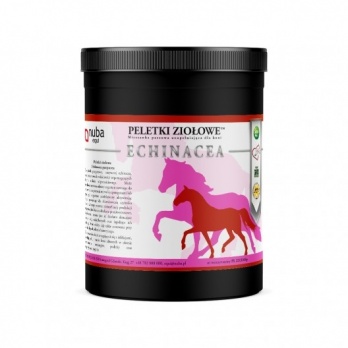 Purple Coneflower (Echinacea) 1300g
