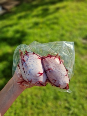 Z/S Musino Beef testicles L