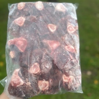 White Tail Treats – Red Deer Femur Bone with Meat 3.00-3.50kg