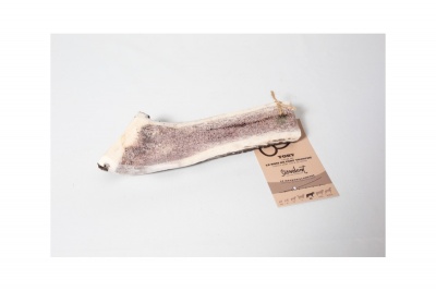 TOBY Deer antlers XL