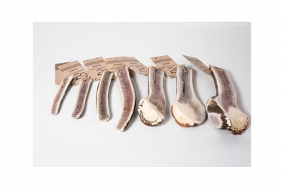TOBY Deer antlers XL