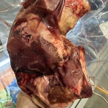 Z/S Musino Beef throat 1kg