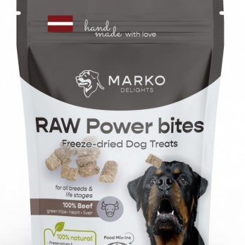 Marko Delights RAW Power bites