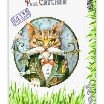 Prof. Catcher Cat — Набор для выращивания травы с поддоном