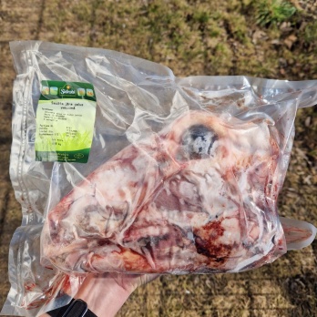 Z/S Sidrabjērs Jēra galva bez spalvām 1gb