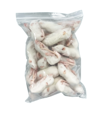 4Reptiles Žurkas 15–30g / 25gab