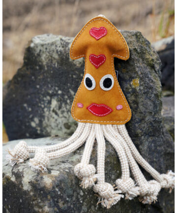 Aurora Paws Karen the squid