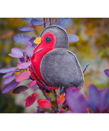 Aurora Paws Rodney the robin